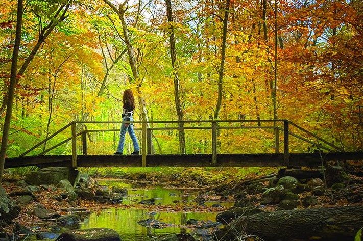 Bartlett Arboretum & Gardens, United States